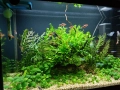 Напълно оборудван и работещ аквариум , снимка 10
