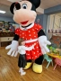 Мини-маус . Минимаус, снимка 3