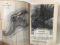 Jules Verne Жул Верн L'ile mystetieuse юношеска книга френски език, снимка 9