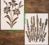 Нарцис Лавандула  стенсил шаблон за спрей за торта украса Scrapbooking, снимка 1
