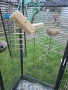 Клетка за птици,папагали и други хвъркати., снимка 6