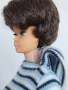 Винтидж кукли Барби Bubblecut Barbie 1960s, снимка 7