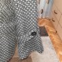 Късо дамско палто, снимка 9