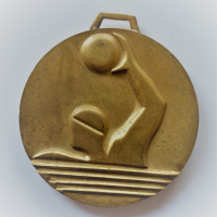 Медал ЦС на БСФС БФВТ, снимка 1 - Антикварни и старинни предмети - 36159251