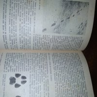 Книга за ловеца и риболовеца, снимка 11 - Специализирана литература - 38891693