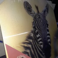 Квадратна Картина 28см с 3Д изображение на зебра , картина с дървена рамка за окачване, снимка 2 - Картини - 40830826