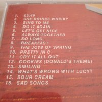 Big Strides ‎– Cry It All Out - оригинален диск Рок, снимка 2 - CD дискове - 40013221