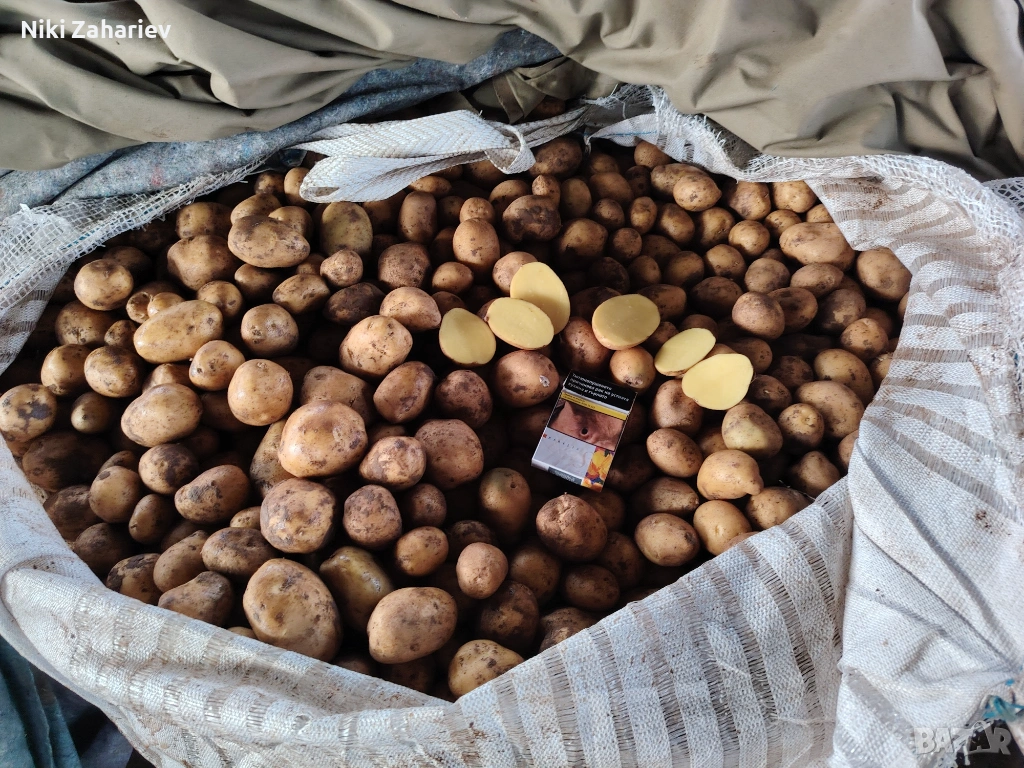 Картофи за животни, снимка 1