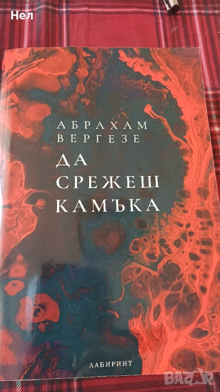 Да срежеш камъка. Абрахам Варгезе, снимка 1