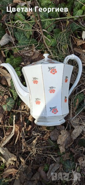 Кана, снимка 1