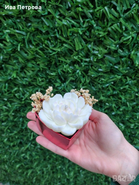 Свещ цвете , снимка 1