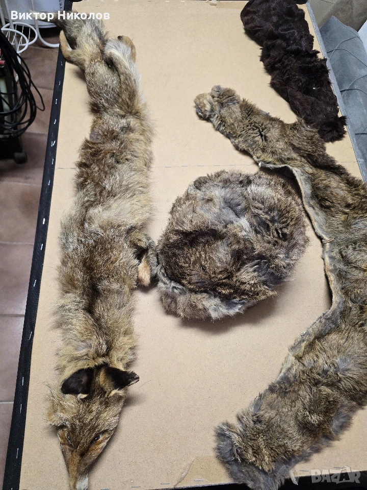 продават се , снимка 1