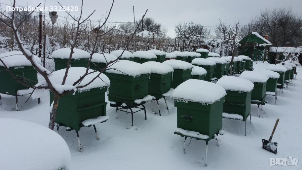  висококачествен натурален пчелен мед, снимка 1