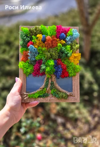 Красива картина цветно дърво декорирано с естествен скандинавски мъх, снимка 1