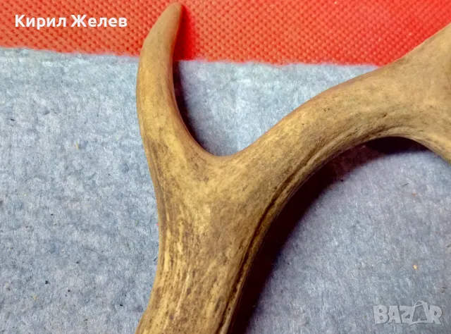 СТАР МАЛЪК ЕЛЕНОВ РОГ За КОЛЕКЦИЯ ЛОВНА ХИЖА ТЕМАТИЧЕН ИНТЕРИОР ДРЪЖКА За НОЖ 47626, снимка 5 - Други ценни предмети - 47562352