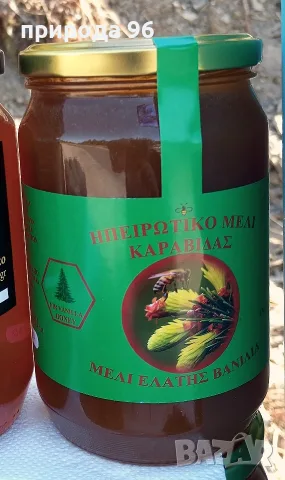  Гръцки мед от ела и горски билки – 0.940 g