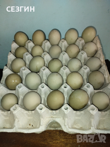 яйца за люпене 