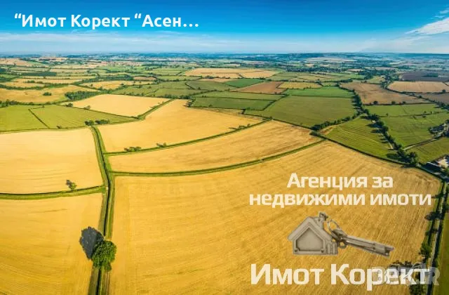 Имот Корект продава Лозе в с. Златовръх , снимка 1