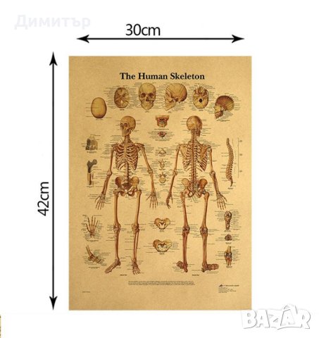 Постер Плакат постери 42/29см. кожа, снимка 7 - Декорация за дома - 41188968