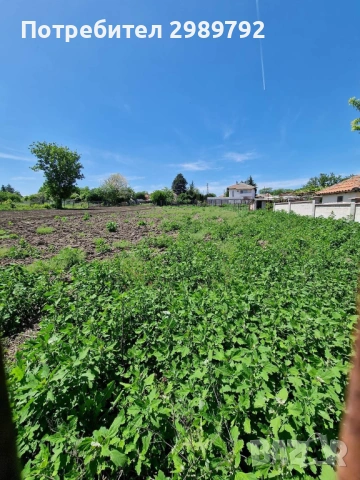 Продава правоъгълен парцел в регулация от 1070кв.м. в с. Козлудуйци, общ. Добрич., снимка 6 - Парцели - 53519941