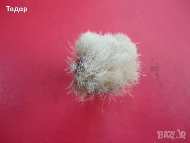 Немска четка за бръснене Reine Borste, снимка 4 - Колекции - 49129863