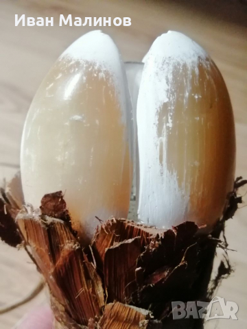 Лампа. Абажур. Осветително тяло , снимка 2 - Антикварни и старинни предмети - 36147533