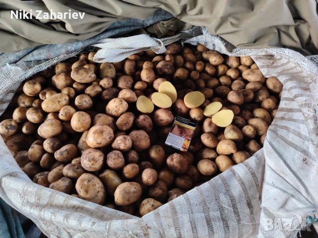 Картофи за животни