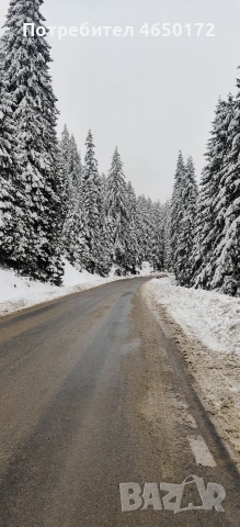 Апартамен за гости Милена, снимка 12 - Апартаменти - 52403589