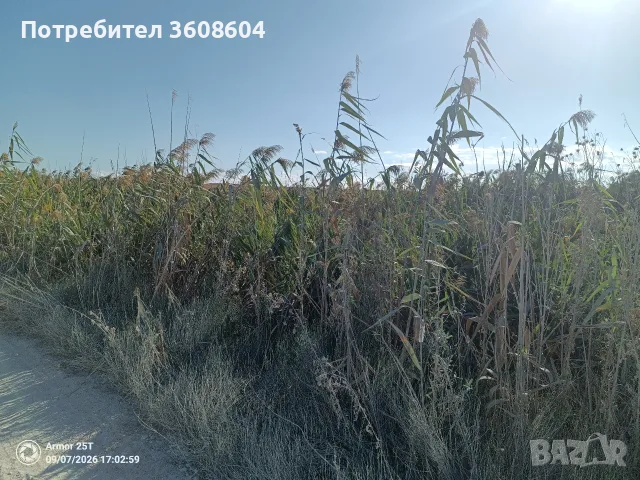 Продавам земя 4400м² за 13200 евро 💶, снимка 9 - Земеделска земя - 56248014