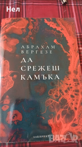 Да срежеш камъка. Абрахам Варгезе