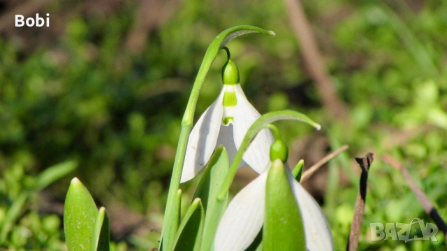 Canon PowerShot SX510 HS Wi-Fi, снимка 9 - Фотоапарати - 53621125