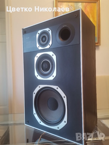 Philips AH 489, снимка 2 - Тонколони - 52672223