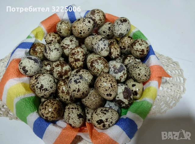 Пъдпъдъчи яйца, снимка 2 - Други - 53596622