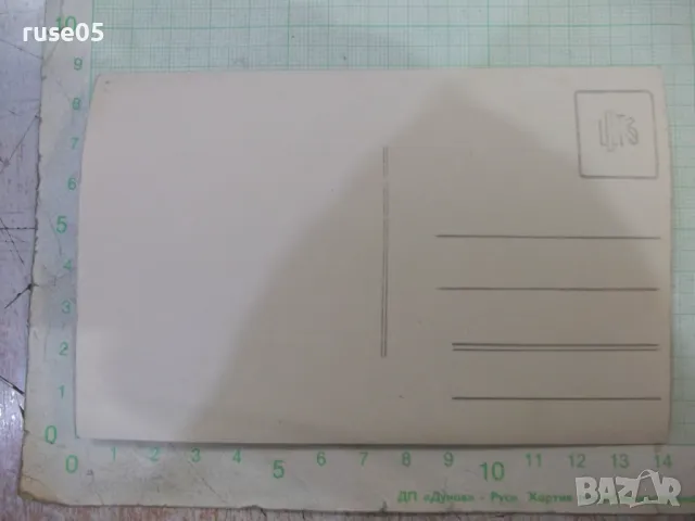 Снимка стара на дама - 1, снимка 2 - Колекции - 48003606