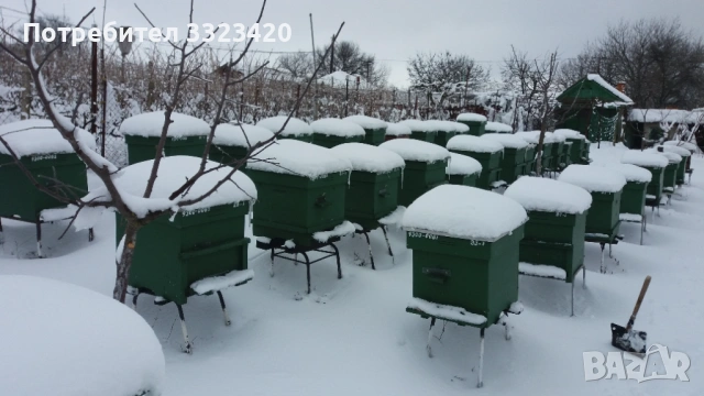  висококачествен натурален пчелен мед