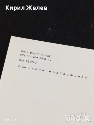 Четири пощенски картички МЕДОВА ПЕРУНИКА, СТРАНДЖАНСКА ЗВЪНИКА,ВОДНА ЛИЛИЯ 26474, снимка 14 - Филателия - 51697755