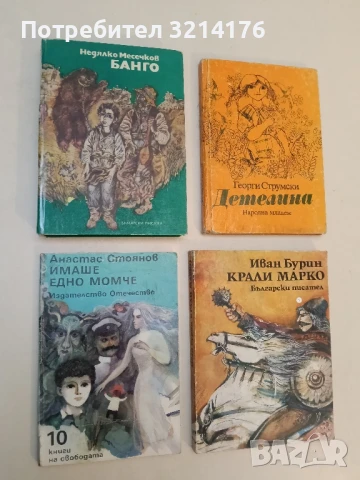 Имаше едно момче - Анастас Стоянов