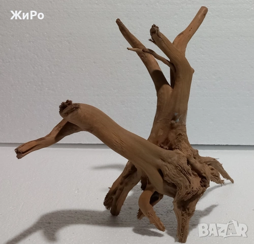 Корен от Азалия /декорация/ 21, снимка 3 - Други - 53396775