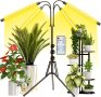 Лампа за отглеждане на растения STELS, Трипод, Таймер, Черен , снимка 2