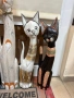 Котки от дърво 60,80,100см , снимка 2