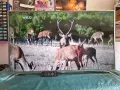 55 инча Philips Android Филипс Андроид 4K LED Smart HDR смарт лед ХДР Амбилайт - с нова подсветка!, снимка 7