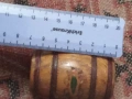 Малка дървено буренце 53658, снимка 5