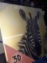 Квадратна Картина 28см с 3Д изображение на зебра , картина с дървена рамка за окачване, снимка 2
