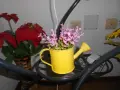 Nikon Coolpix S3100 - 14 MPx, снимка 10