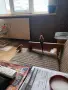 Поен мъжки папагал , снимка 16