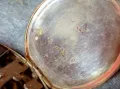 Стар СРЕБЪРЕН ДЖОБЕН ЧАСОВНИК СРЕБРО 800 СТИЛНО ОРНАМЕНТИРАН ФУНКЦИОНИРАЩ 48857, снимка 4