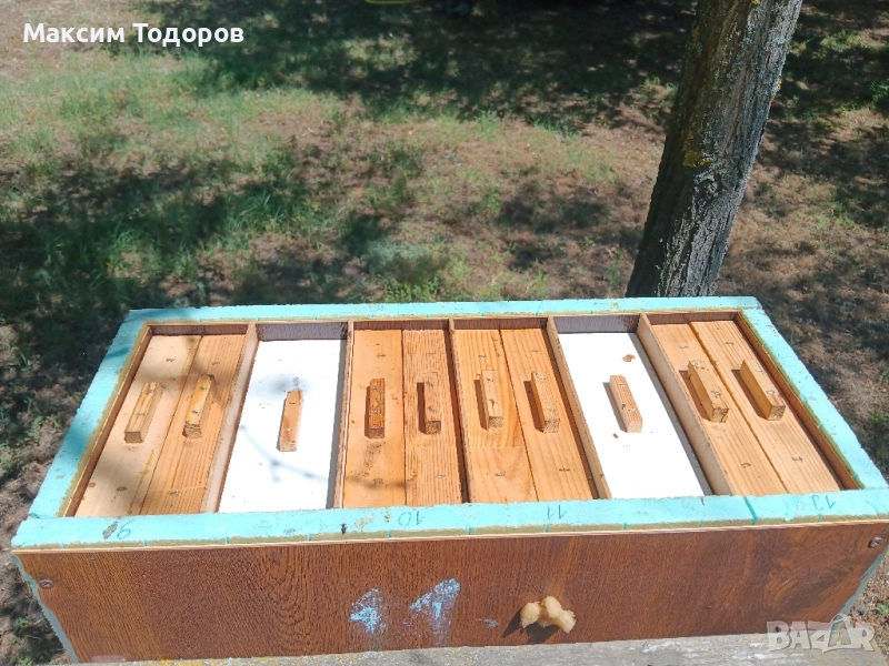 Оплодни кошери за майки нуклеуси , снимка 1