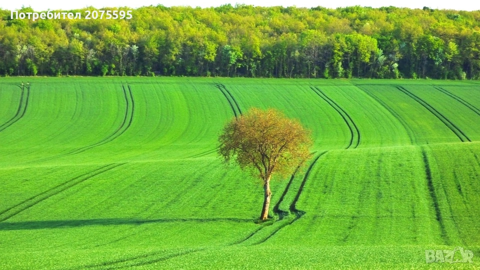 Земеделска земя село Воден ,общ. Болярово, снимка 1