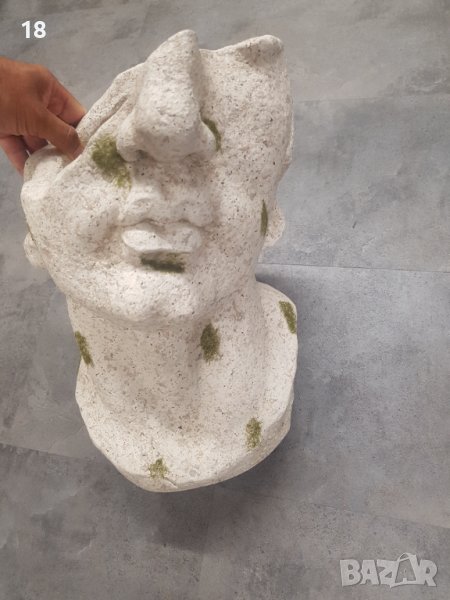 Саксия, снимка 1