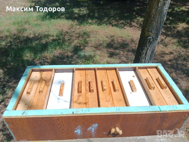 Оплодни кошери за майки нуклеуси 